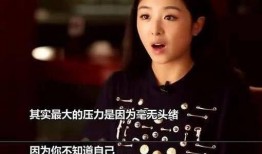 张含韵事件爆料了吗视频,揭秘背后真相，视频爆料引发热议