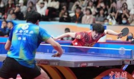 乒乓球联赛最新爆料,最新爆料揭秘赛程与黑马崛起