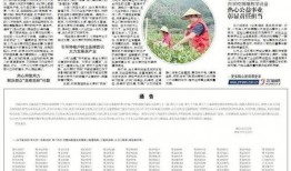 鹤山市爆料新闻最新情况,突发事件引发社会关注